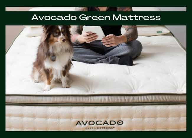 Avocado Green Mattress