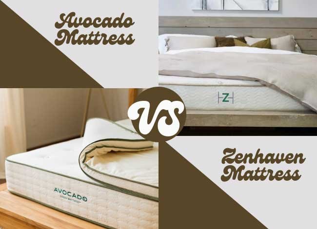 Avocado Mattress VS Zenhaven Mattress