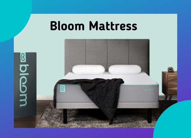 Bloom Mattress