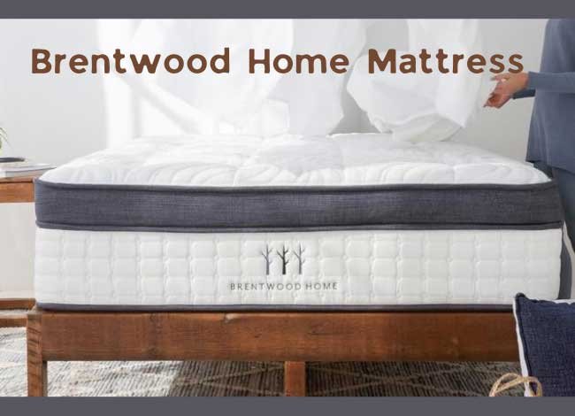 Brentwood Home Mattress