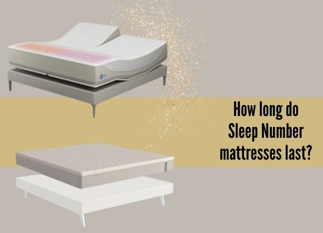 Sleep Number Beds Longevity