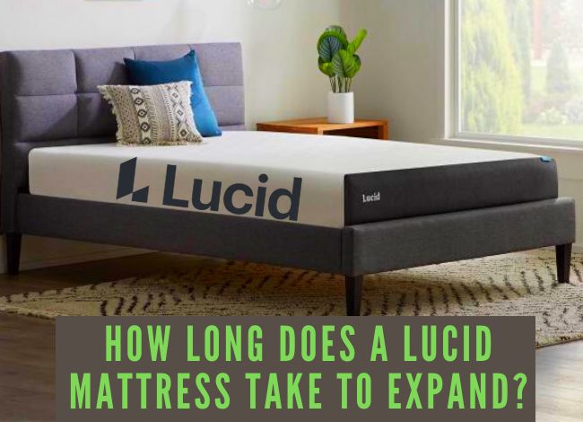 Lucid Mattress Review