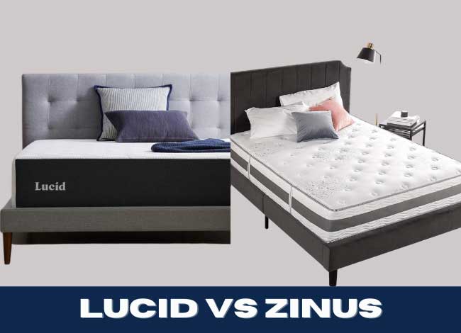lucid vs zinus mattress reviews