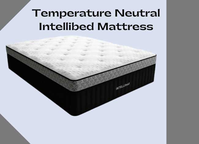 Temperature Neutral Intellibed Mattress